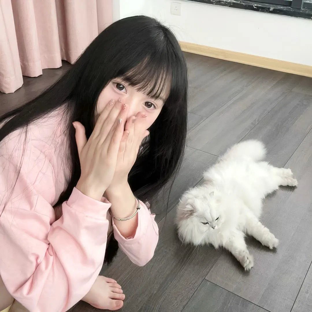 莫奇的故事